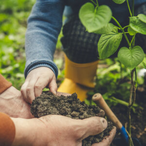 Little boy and his father gardening in spring