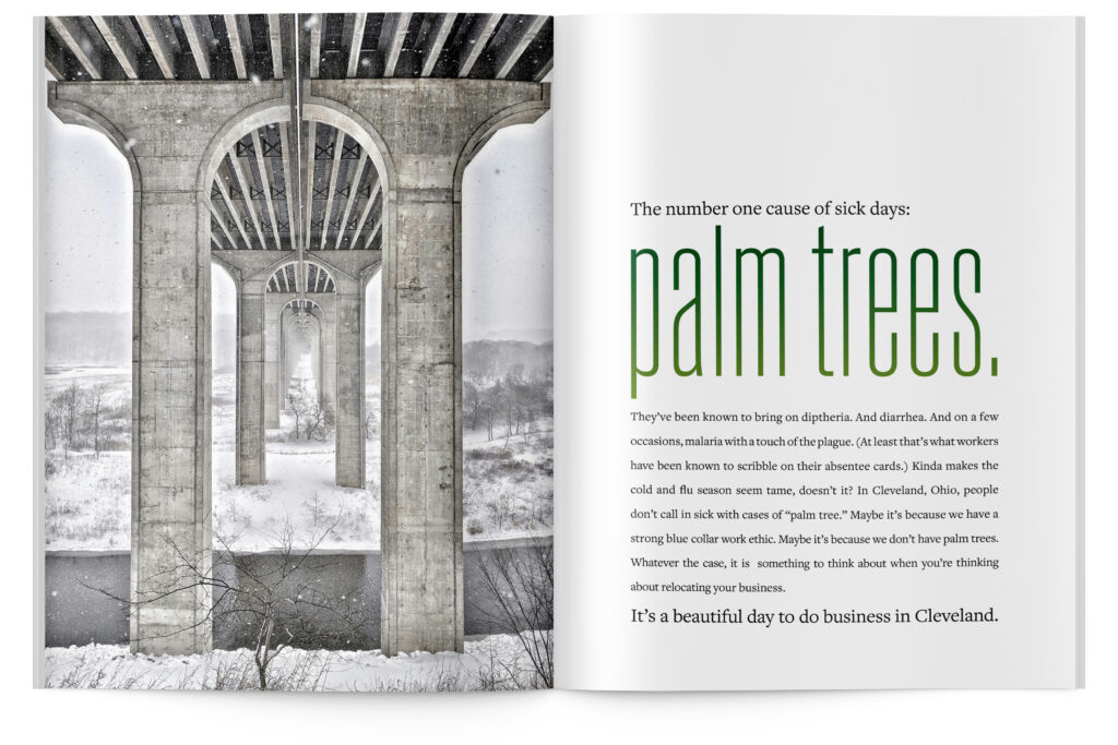 The number one cause of sick days: palm trees.